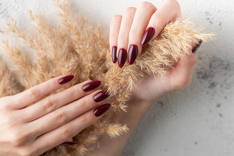 Artificial Nails Services